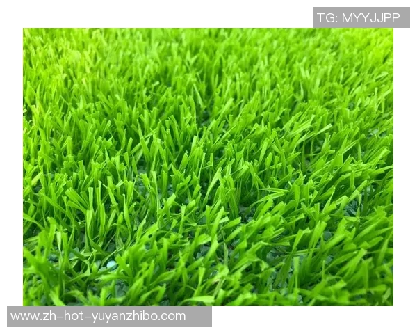 足球操草坪版带你畅享绿色运动乐趣提升身体素质与团队协作能力